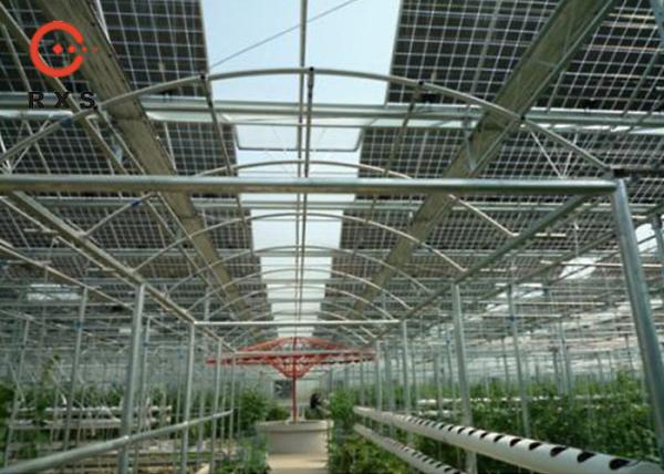 Painel solar Monocrystalline de vidro duplo, tipo transparente do painel solar de 305W Perc