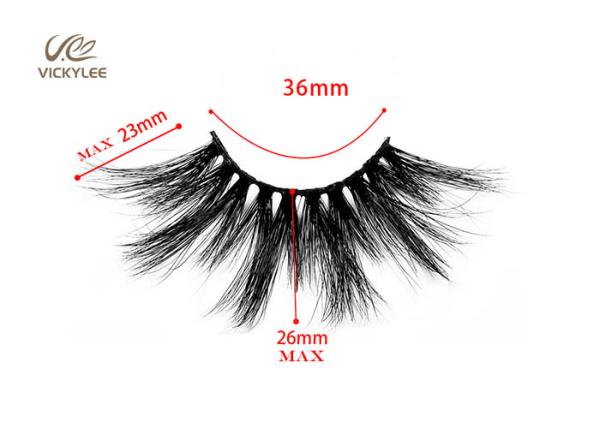 Long Wispy 23MM 6D Volume Lashes For Daily Makeup