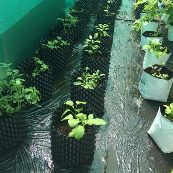 Plastic Air Pruning  root plant pot For Gardening