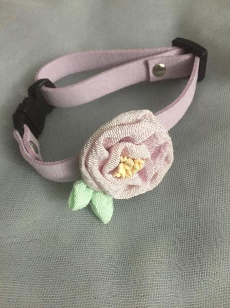 Colares feitos sob encomenda elegantes Eco do animal de estimação - amigável para atividades exteriores do animal de estimação