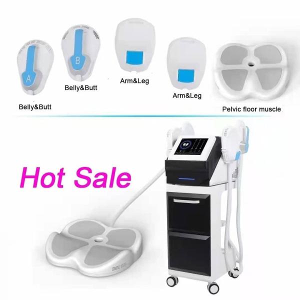 Черная уменьшая мышца машины 3000W Ems красоты строит тело  контуря двойные ручки