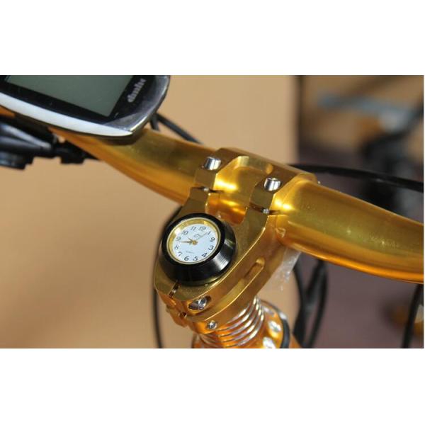 21 Speed Gear 350w 26 Inch Electric Fat Bike