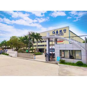 Guangdong Xin Tongshi Group Co., Ltd.