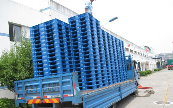 Proper Euro Pallet Plastic Pallet with Guaranteed and 1 Ton Dynamic Load from Supplie