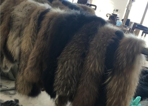 Fluffy Authentic Raccoon Fur Collar , Natural Color Raccoon Fur Hood Trim For Women