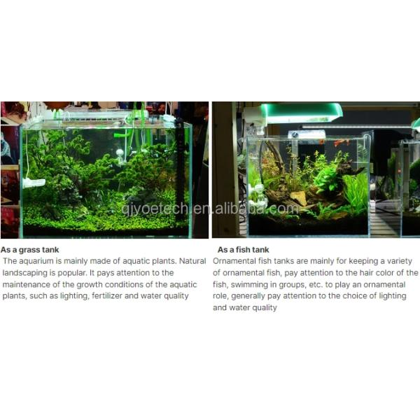 Customizable Laminated Glass Fish Tank the Ultimate Decorative Choice for Dining