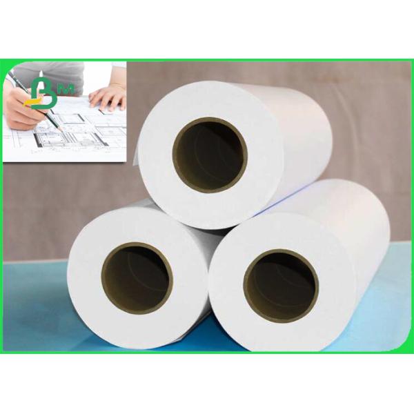 Graph Paper Roll 20lb 24