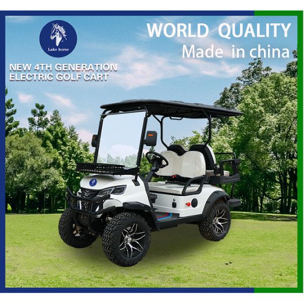 Lake Horse Electric Golf Cart with Buggy Car Tour Tire Front Disc Rear Drum Brake System