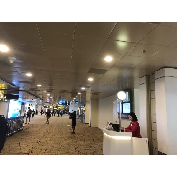 PVDF Galvanized Steel Ceiling Panels Concealed Square Edge Perforated Pattern