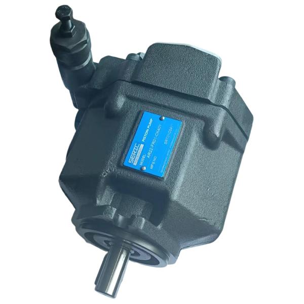 Multi Purpose Low Noise Axial Hydraulic Piston Pump AR16 Series AR22 Series