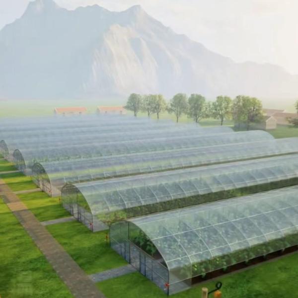 Polytunnel Plastic Tunnel Single Span Agricultural Greenhouse for Customized Request