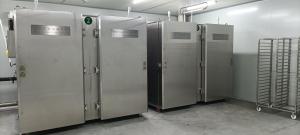 congeladores e refrigeradores instantâneos de explosão do gelo 600kg/Hour menos