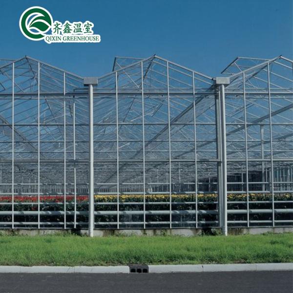Glass Greenhouse Ventilation System with Tempered Glass or PC Sheet Top Covering