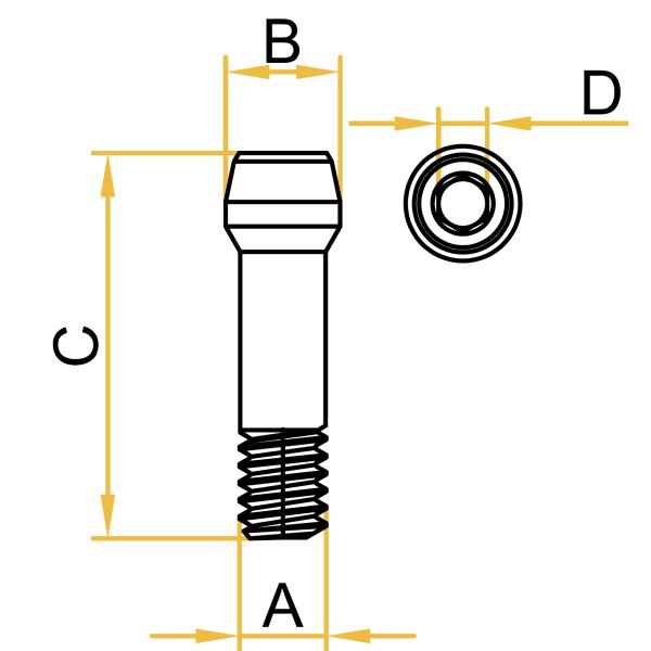 Dentsply Ankylos® Dental Implant Titanium Screw Hex 1.0mm