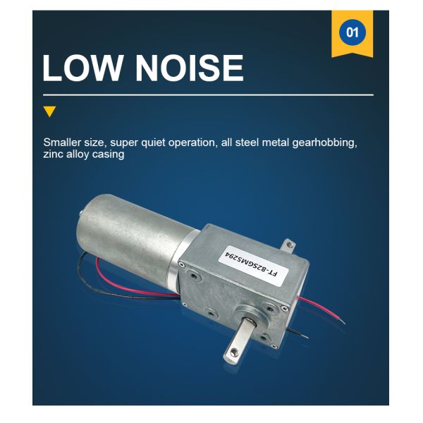 Custom FT-82SGM5294 Dual Output Shaft High Torque High Power DC Worm Gear Brushless Electric Motor