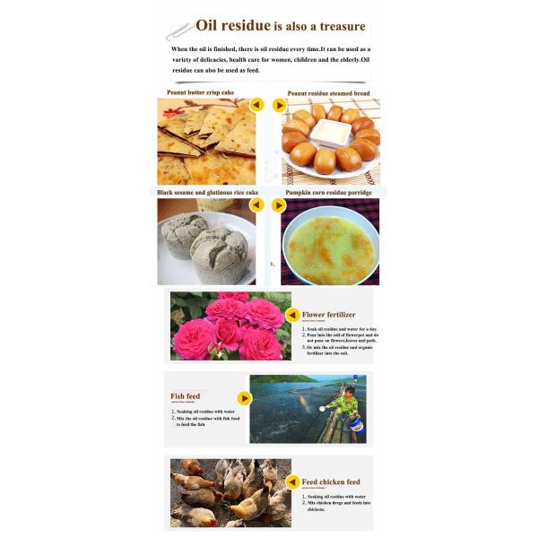 Small Scale Mini Cold Pressed Rice Bran Oil Mill Expellers Plant Oil Extraction Machine for Edible Oil Production