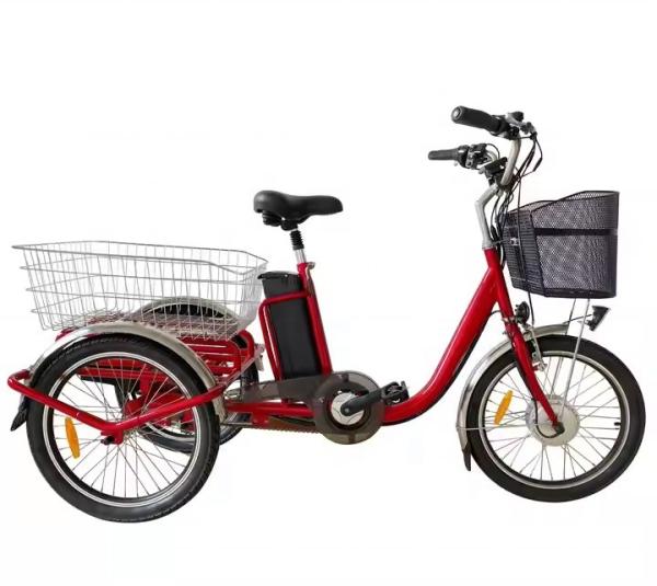 36V 250W 350W Adult Folding Electric Trike 20 Inch Electric 3 Wheel Cargo Bike