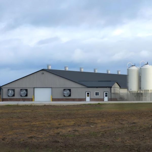 Prefab Steel Insulated Commercial Broiler/Layer Poultry House