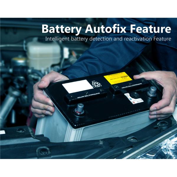 Intelligent 12 Volt 20 Amp Charger Lead Acid Battery Charger 220V 50Hz