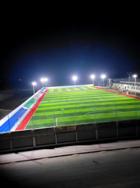 16.5 Stitches Football Turf 50mm Pile Height Weaving With PP Net SBR Backing