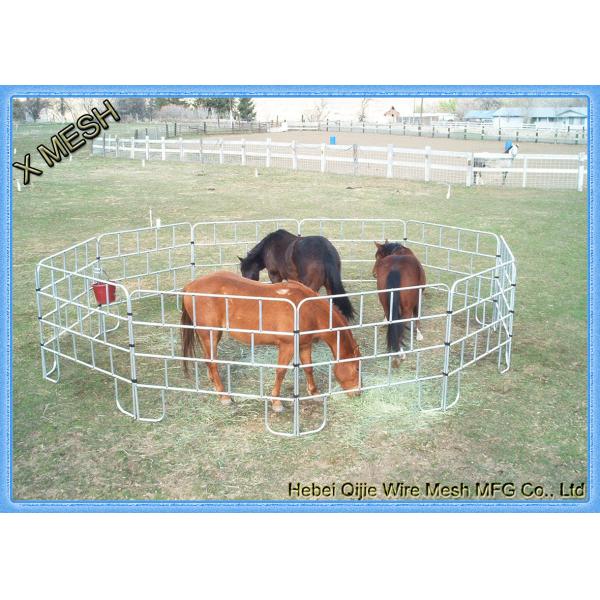 La barrière galvanisée à chaud de grillage de cheval lambrisse la couleur argentée de tuyau d'acier pour la ferme