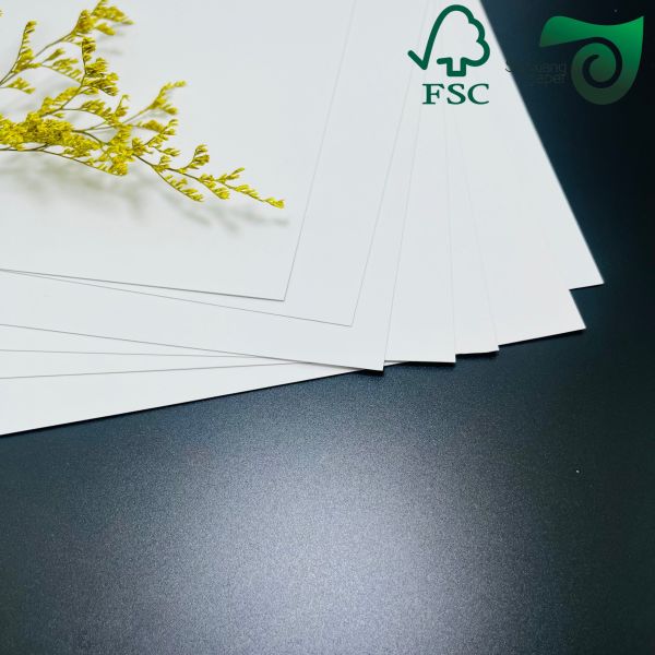 FSC 300gsm Single Sided Coated Paper  High Folding Resistance For Food Packaging  Takeaway Boxes