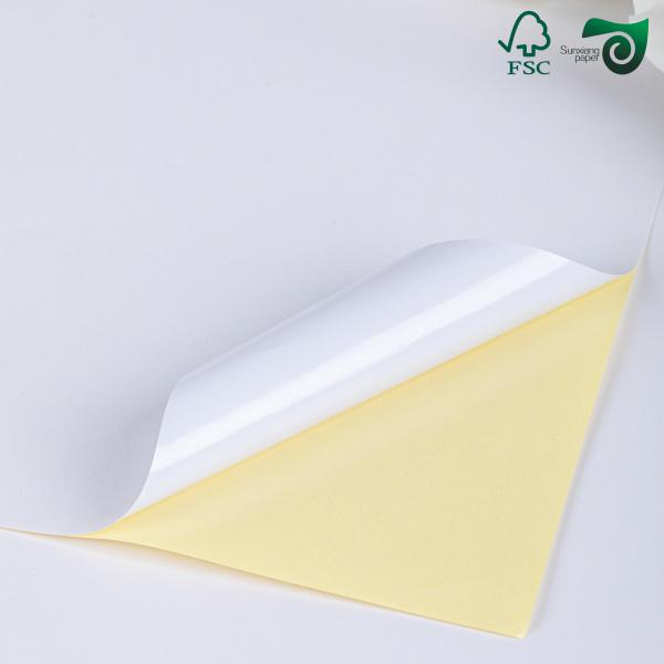 70gsm 80gsm Thermal Paper Jumbo Rolls Glossy Finish Custom Sizes FSC