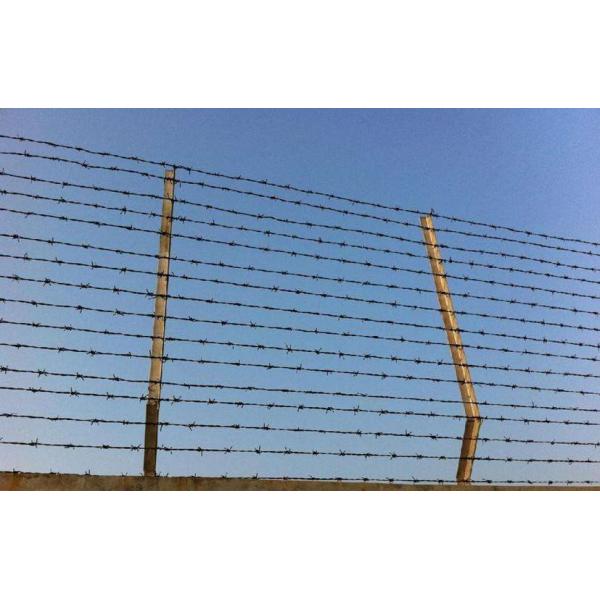 Single And Double Strand Fence Bwg10 Security Barbed Wire