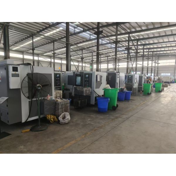 Jiangmen Songfeng Import and Export Co., Ltd.