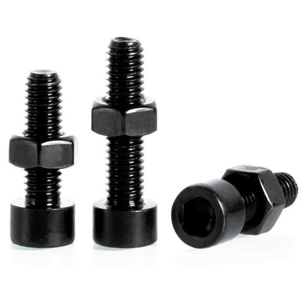 High Tensile Grade 8.8 10.9 12.9 Hex Socket Allen Cap Head Screw Bolt for Building