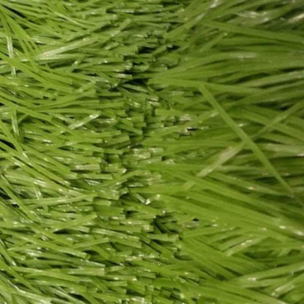 Natural Artificial Golf Green Turf Tpe Rubber Granule For Display 1mm Width