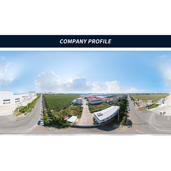 Customized Aluminum or Zinc Alloy Die Casting for Diecast Part
