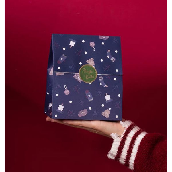 SGS PMS Kraft Christmas Gift Packing Box Biscuit Candy Snack Packaging Bag