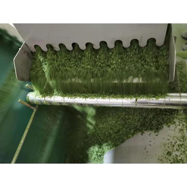 Hot Dried Aosa Seaweed Aonori Flakes