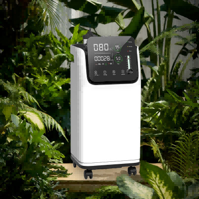 High Flow 1 - 5 L O2 Oxygen Generator With Nebulizer Medical Standard