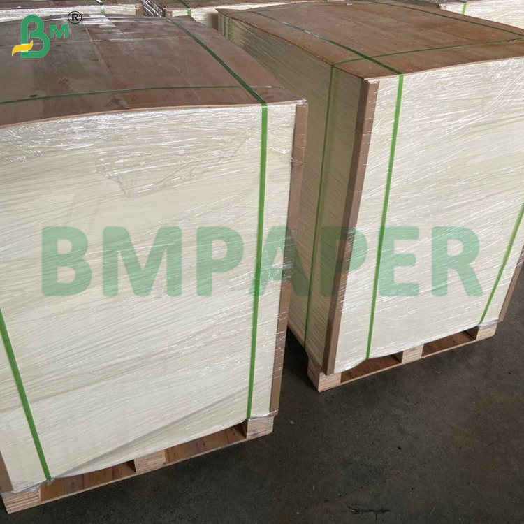 Cash Register And Thermal Receipt Paper Roll 48gsm 570mm 800mm Roll Кассовая машина и терморевизовый лист бумаги 48 грамм 570 мм 800 мм