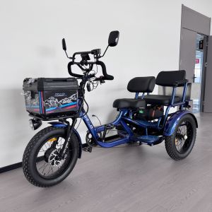2 Seat 3 Wheel Ebike Tricycle Leisure Off-Road Type Dual Person Commuter With