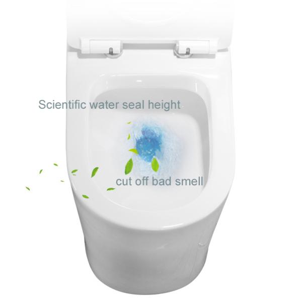 Приток шара туалета wc Bathroom Sanitwell SWJ1125MB матовый черный rimless