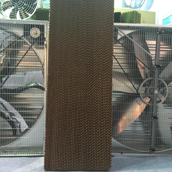 5090/7060/7090 farm/factory/greenhouse evaporative cooling pad with high efficiency