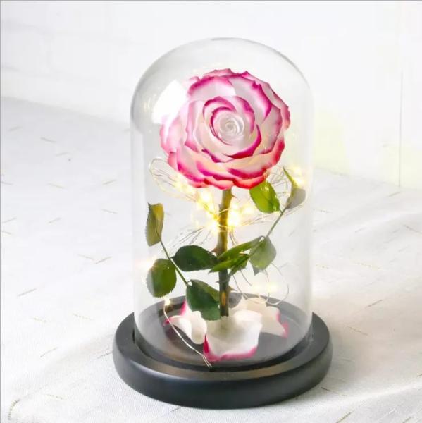 Beautiful Preserved Rose in Glass Dome flower arrangement for lover Everlasting Flowers Preserved Flowers