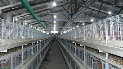 Easy Disassembly Good Ventilation Prefabricated Steel Structure Chicken Shed Poultry House