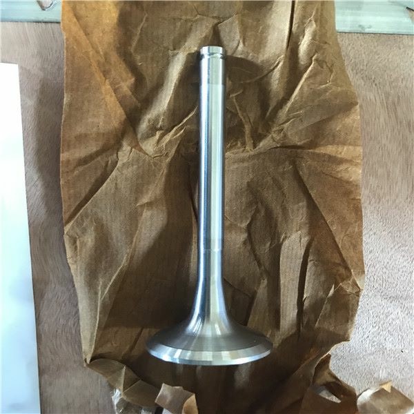 6 CyI Automotive Engine Valves for Truck 6RA1 6RA1T 6RB1 6RB1T Diesel Engine Parts