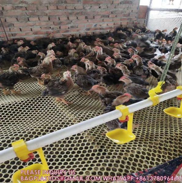 Customized Plastic Flat Breeding Mesh Bird Safety Net For Chicken Farm Poultry Net Cage