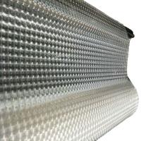 Transparent 3D Lenticular Film  , Bopp Holographic Lens Film For Gift / Craft