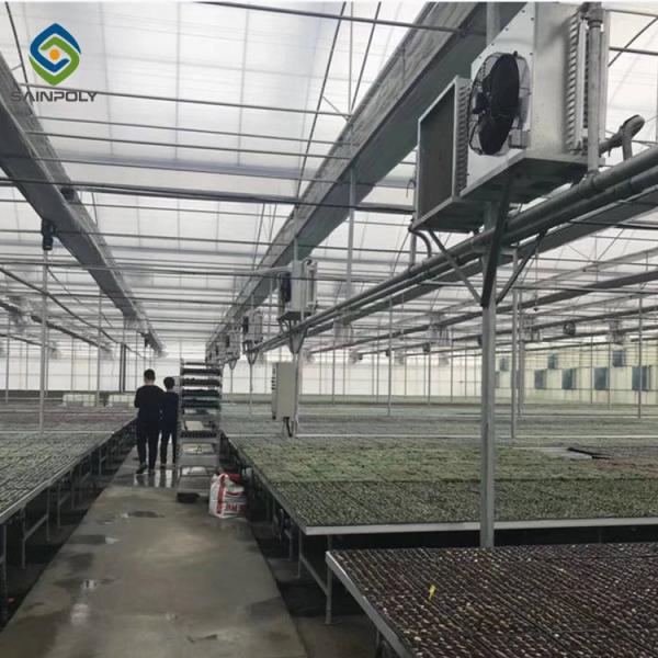 Commercial 200 Micron Film 0.50KN/M2 Multi Span Greenhouse
