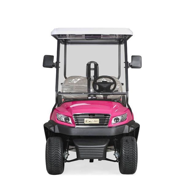 Excar 4 passenger Electric Hunting Carts 275A Curtis Controller/Trojan Batteries