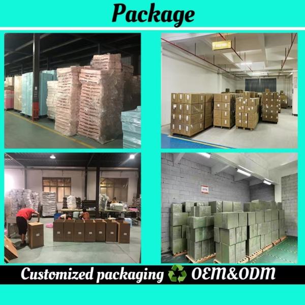 Multicolor PET Open Cat Litter Tray Large Opening Litter Tray