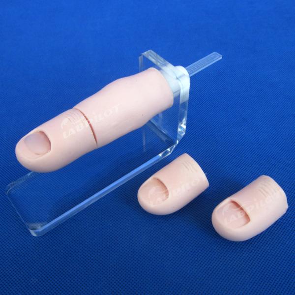 Ingrowing Toenail Trainer The Ultimate Model for Nails Extraction Training and Practice