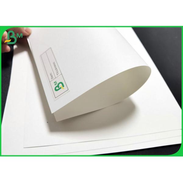 Uncoated 80gsm 120gsm Bleached Color Virgin Kraft Paper Rolls for bakery bags Uncoated 80gsm 120gsm Bleached Color Virgin Kraft Paper Rolls for bakery bags