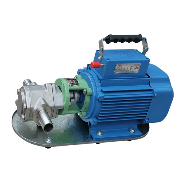 220v/380v Small Lube Oil Gear Pump Ex - Proof WCB Series Cast Iron Material
